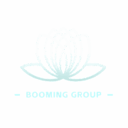 亚太泊铭科技有限公司 Logo